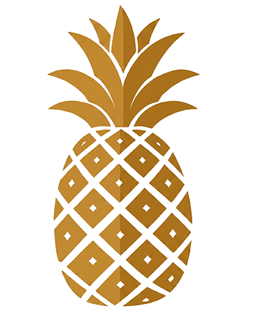 Waikiki Media pineapple
